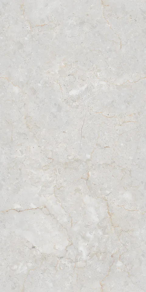 ELITE MARFIL BIANCO GLIT view 5